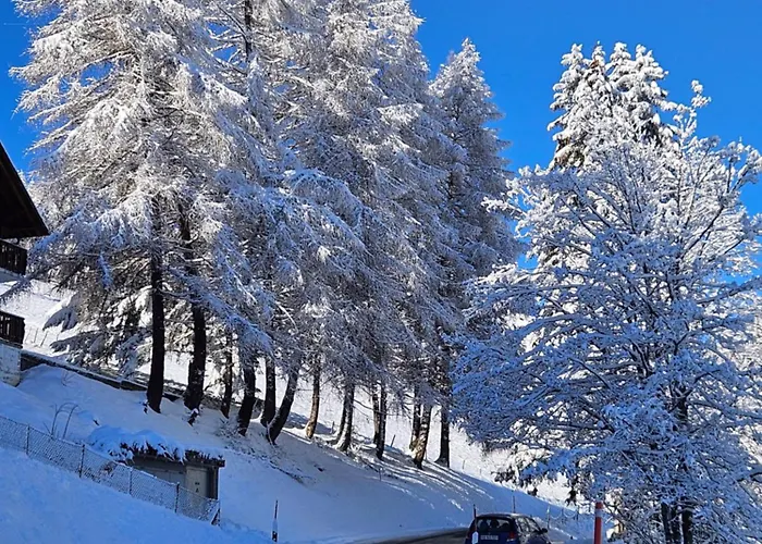 Sweet & Cosy In The Heart Of The Swiss Alps